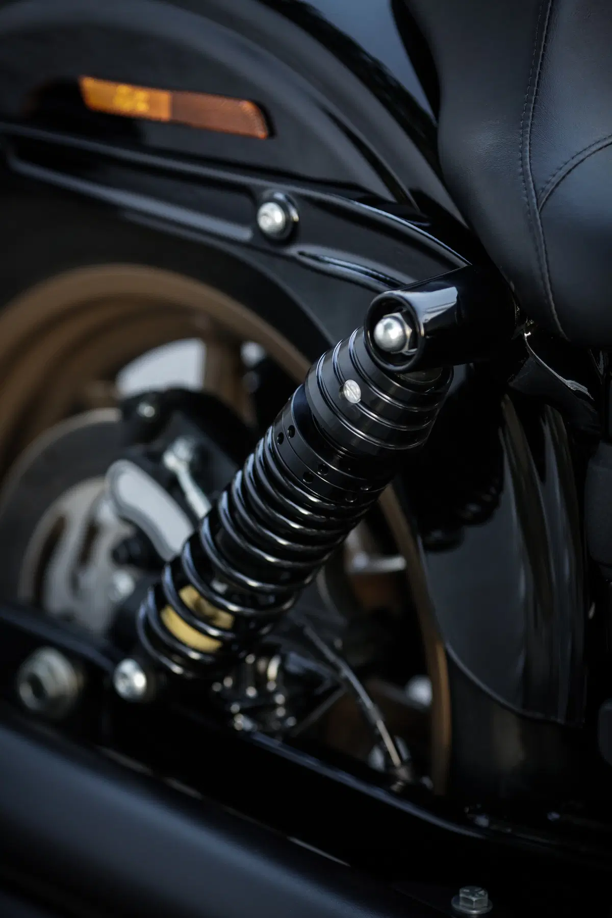 Harley-Davidson Dyna Low Rider S  (35)