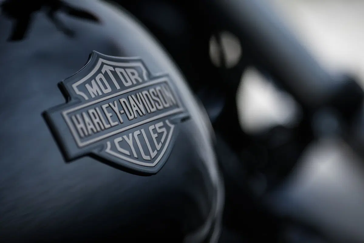 Harley-Davidson Dyna Low Rider S  (36)