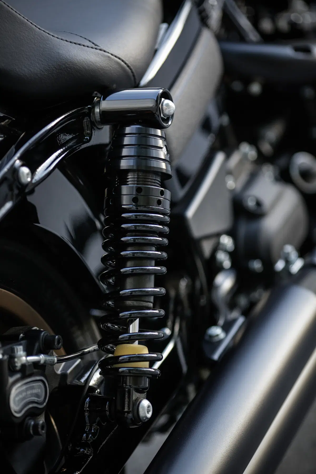Harley-Davidson Dyna Low Rider S  (37)