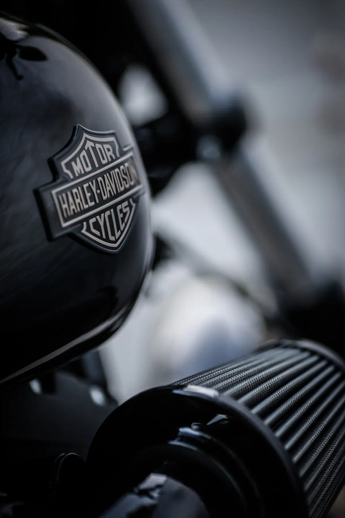 Harley-Davidson Dyna Low Rider S  (38)
