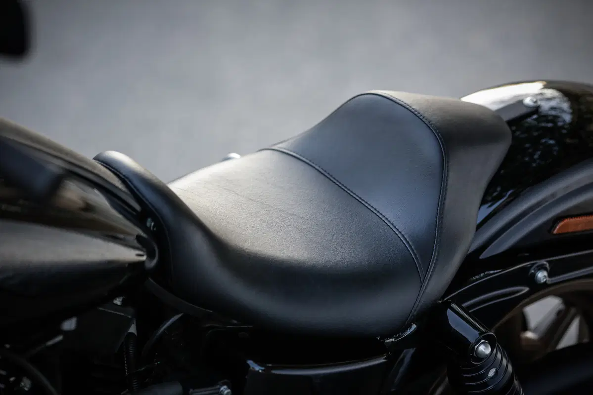 Harley-Davidson Dyna Low Rider S  (43)
