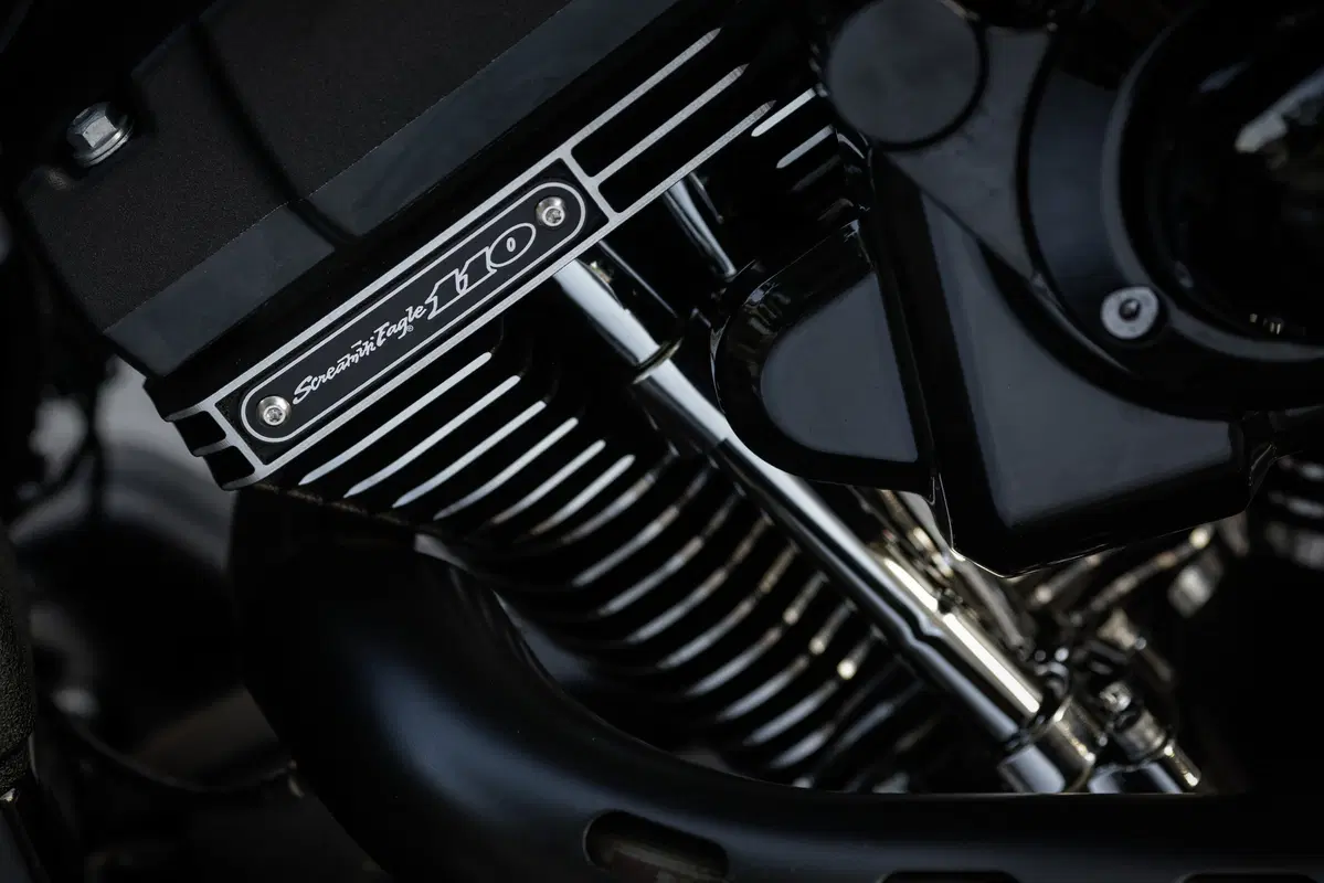 Harley-Davidson Dyna Low Rider S  (45)