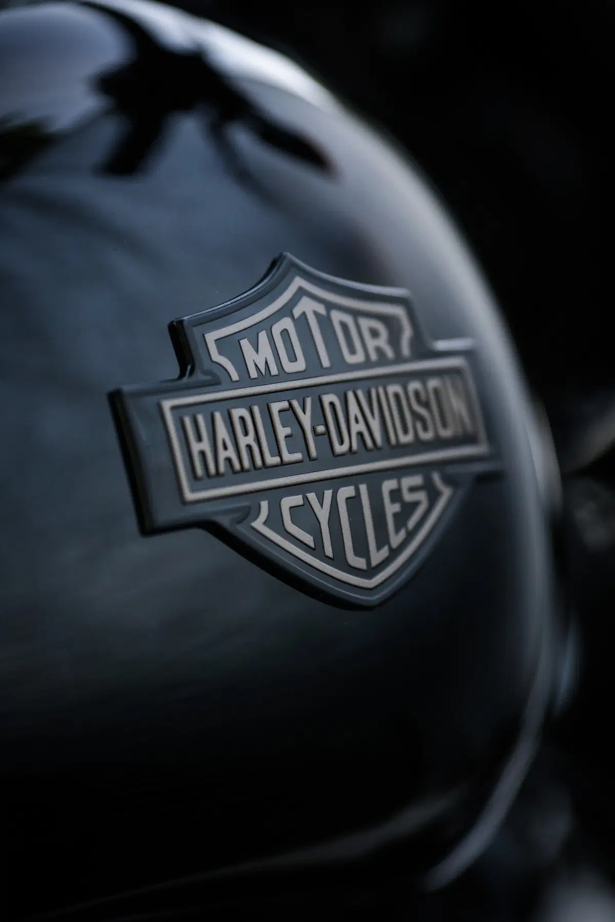 Harley-Davidson Dyna Low Rider S  (46)
