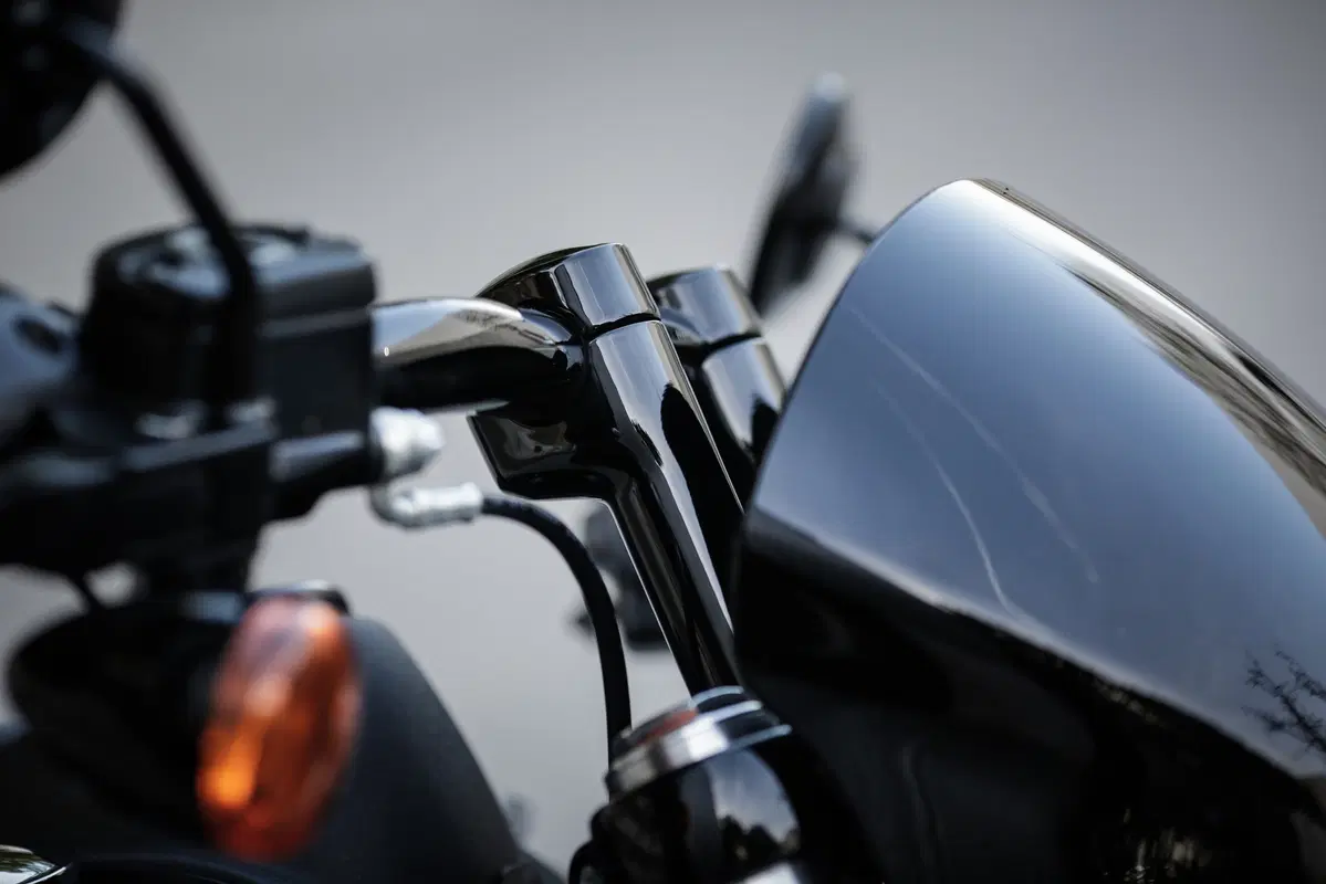 Harley-Davidson Dyna Low Rider S  (47)