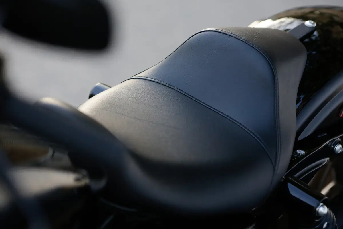 Harley-Davidson Dyna Low Rider S  (49)