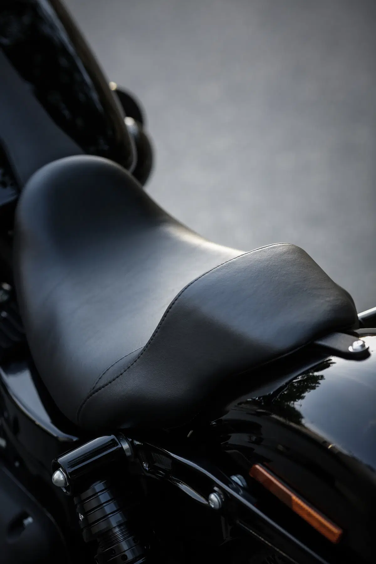 Harley-Davidson Dyna Low Rider S  (51)