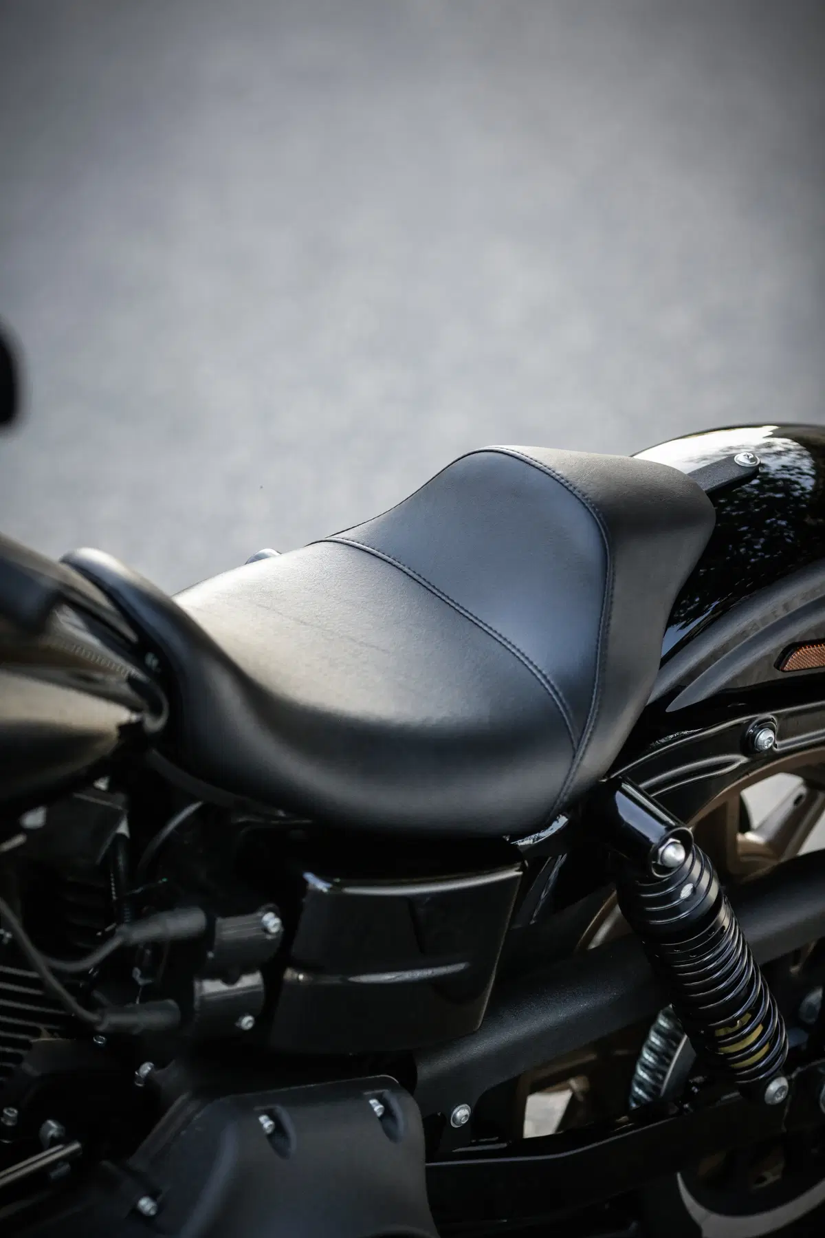 Harley-Davidson Dyna Low Rider S  (52)