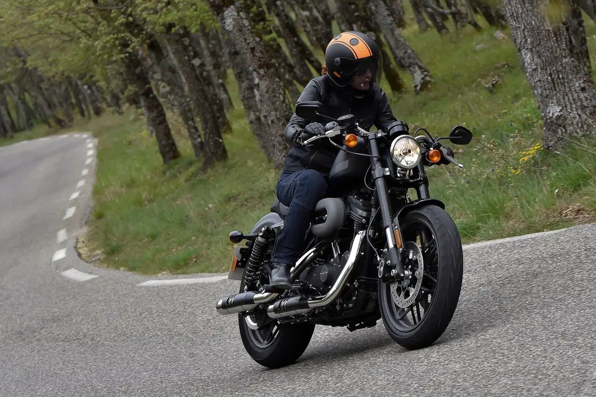 Harley-Davidson Sporster Roadster (2)
