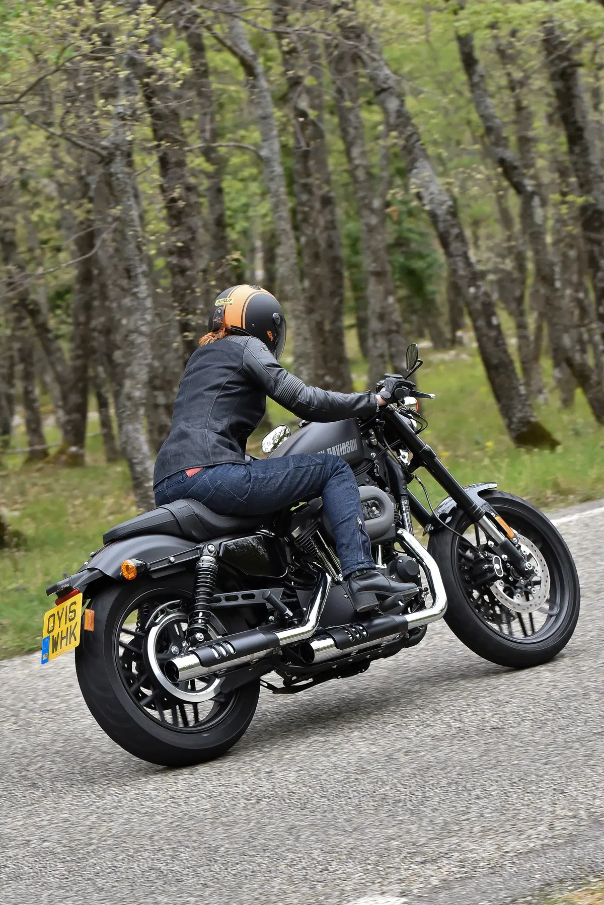 Harley-Davidson Sporster Roadster (3)