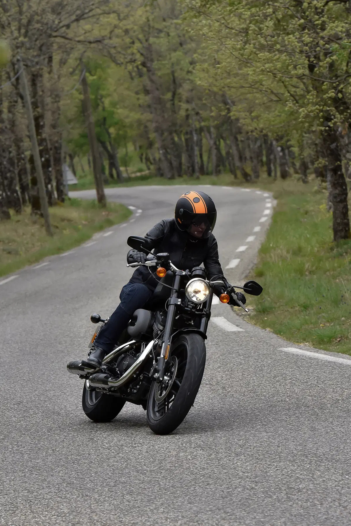 Harley-Davidson Sporster Roadster (4)