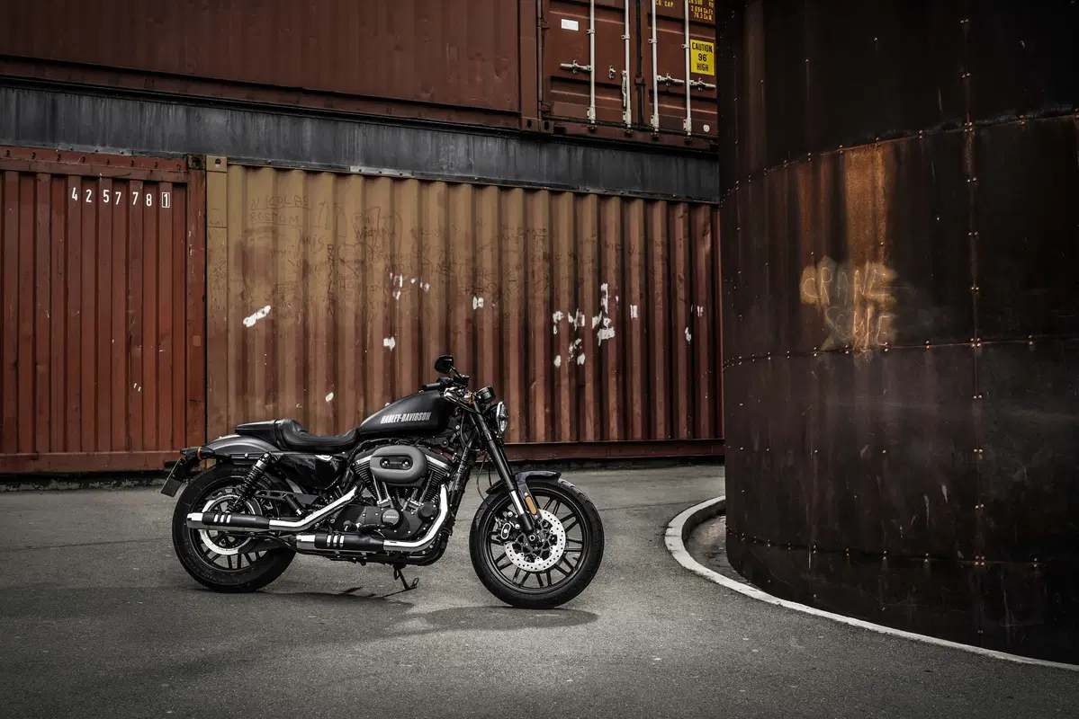 Harley-Davidson Sporster Roadster (8)