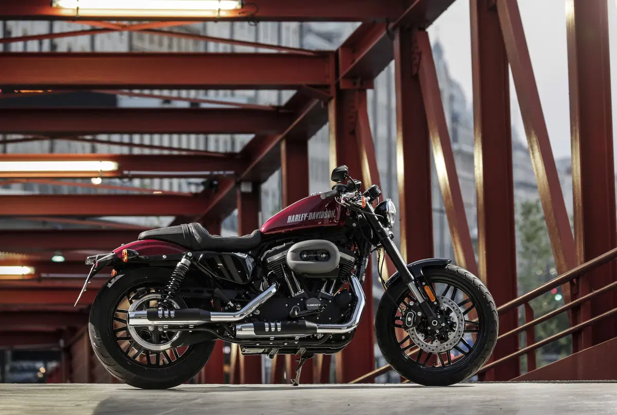Harley-Davidson Sporster Roadster (11)