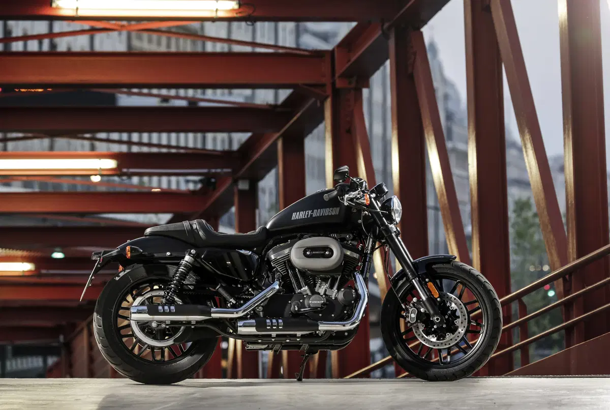 Harley-Davidson Sporster Roadster (12)