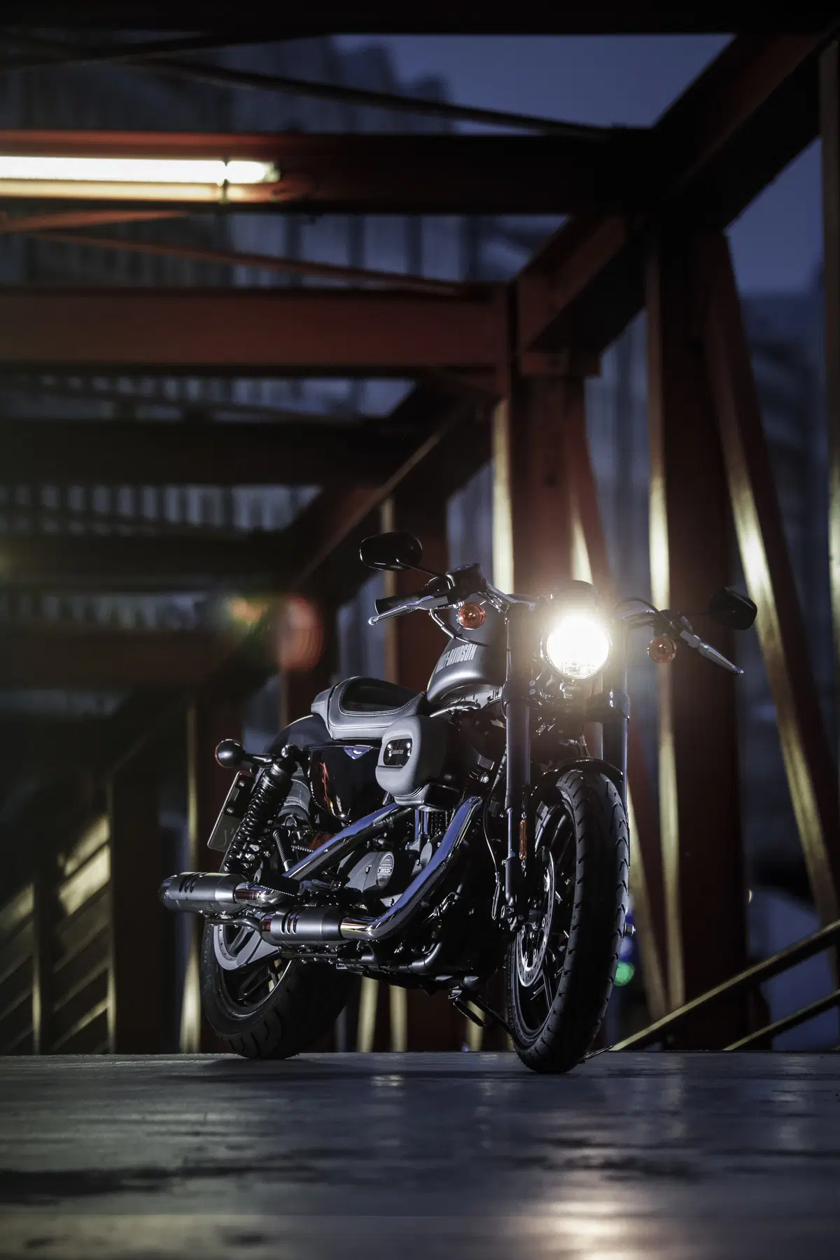Harley-Davidson Sporster Roadster (16)