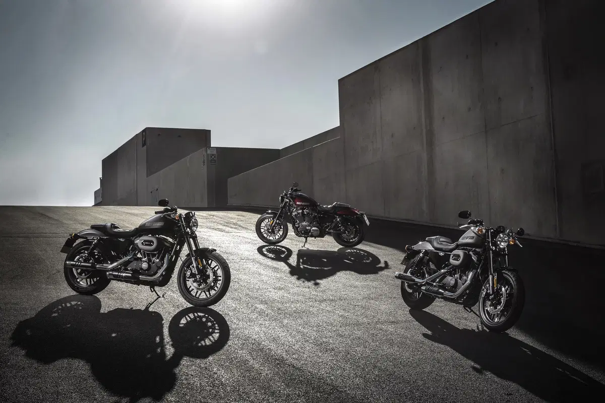 Harley-Davidson Sporster Roadster (5)