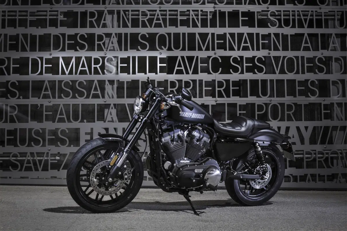 Harley-Davidson Sporster Roadster (14)