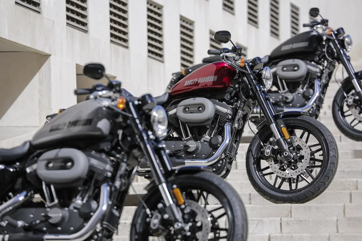 Harley-Davidson Sporster Roadster (18)