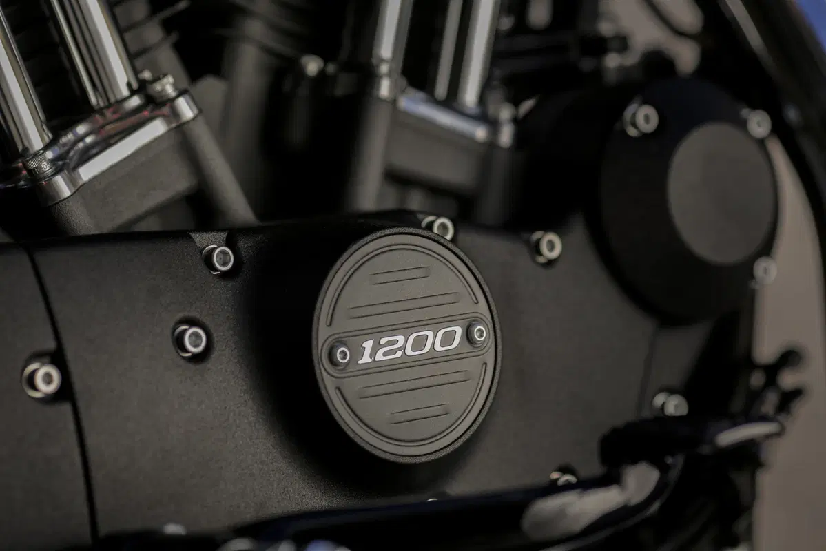 Harley-Davidson Sporster Roadster (34)