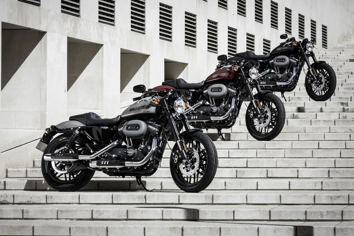 Harley-Davidson Sporster Roadster (17)