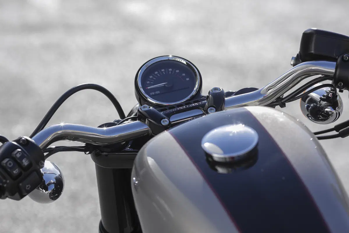 Harley-Davidson Sporster Roadster (21)