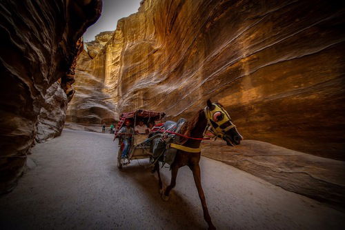 Jordan Baja. Petra. La Gallery. Un altro buon motivo... (4)