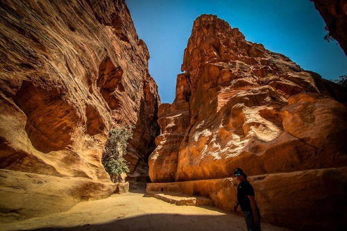 Jordan Baja. Petra. La Gallery. Un altro buon motivo... (6)