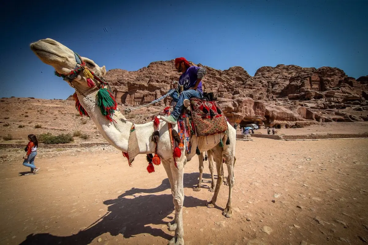 Jordan Baja. Petra. La Gallery. Un altro buon motivo... (13)