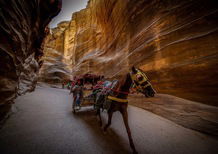 Jordan Baja. Petra. La Gallery. Un altro buon motivo...