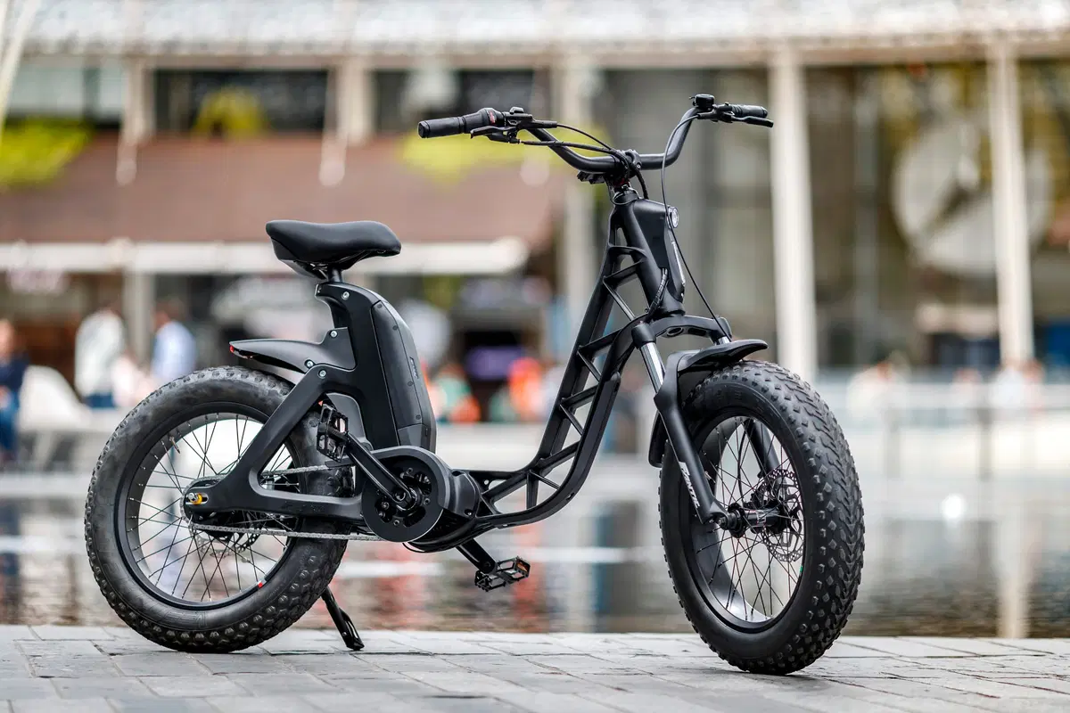 Fantic Issimo, una nuova specie (20)