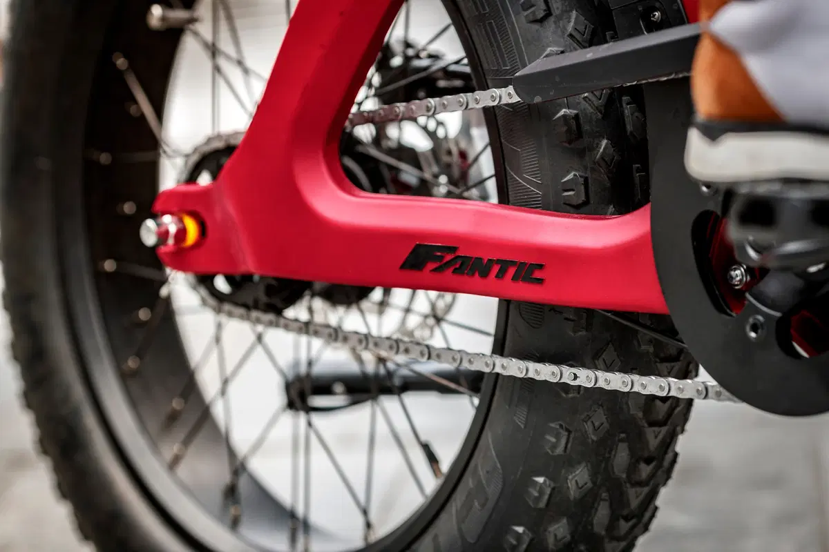 Fantic Motor Issimo Issimo (2019 - 23) (6)