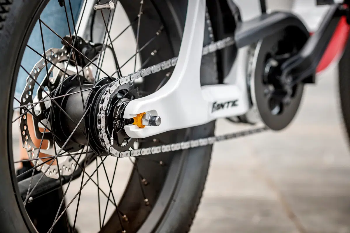 Fantic Motor Issimo Issimo (2019 - 23) (8)