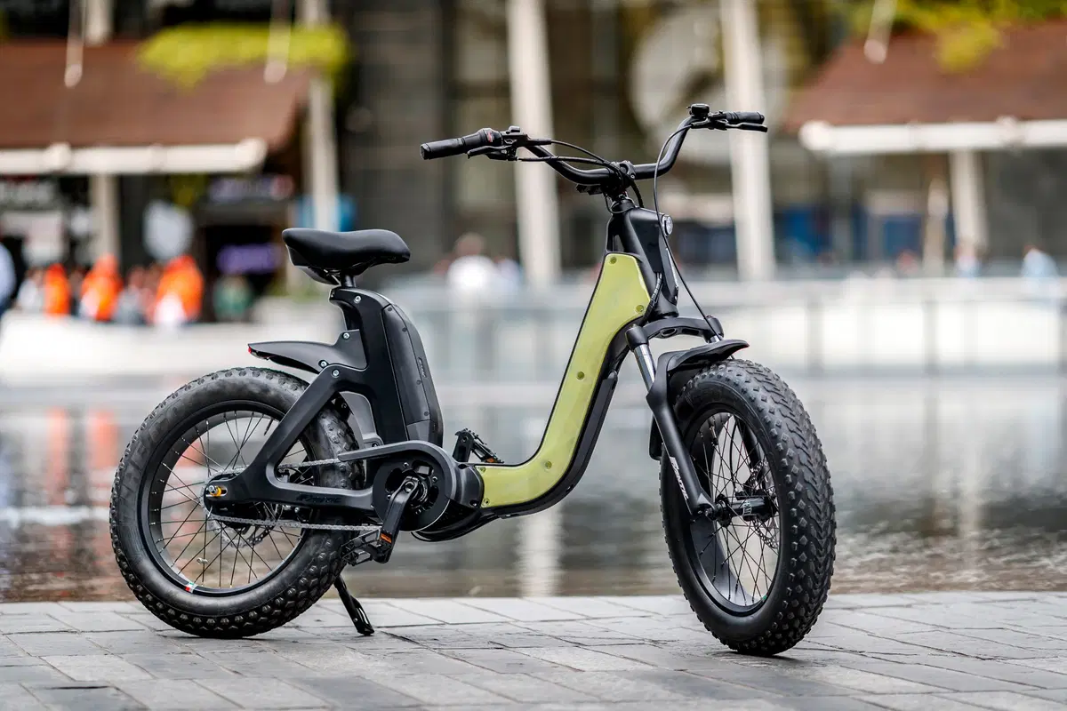 Fantic Motor Issimo Issimo (2019 - 23) (10)
