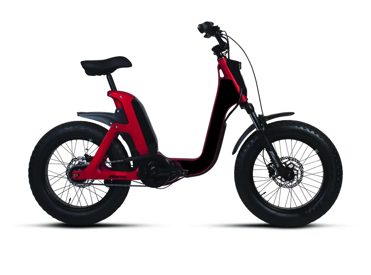 Fantic Motor Issimo Issimo (2019 - 23) (4)