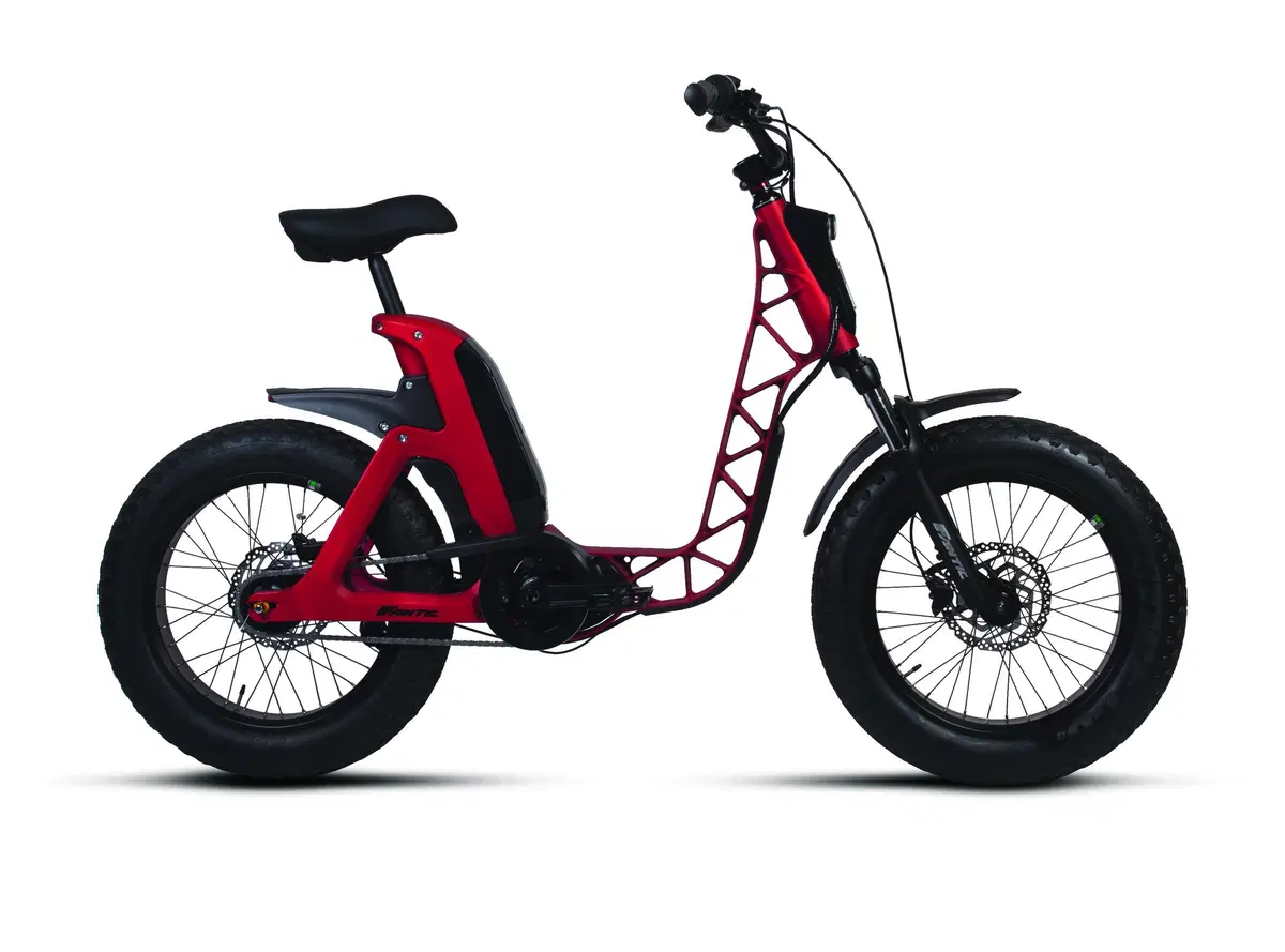 Fantic Motor Issimo Issimo (2019 - 23) (2)