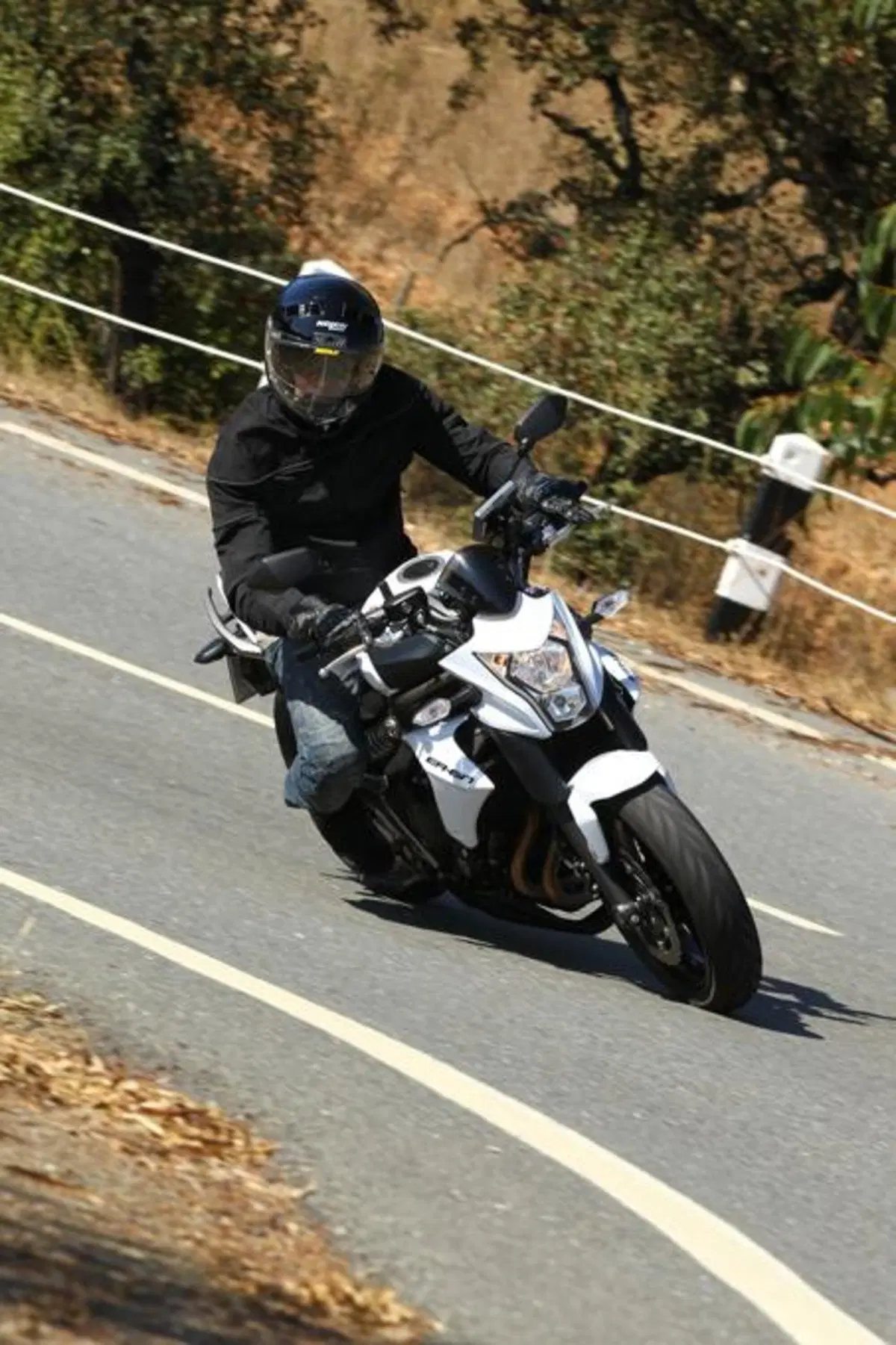 Kawasaki ER-6n   (10)