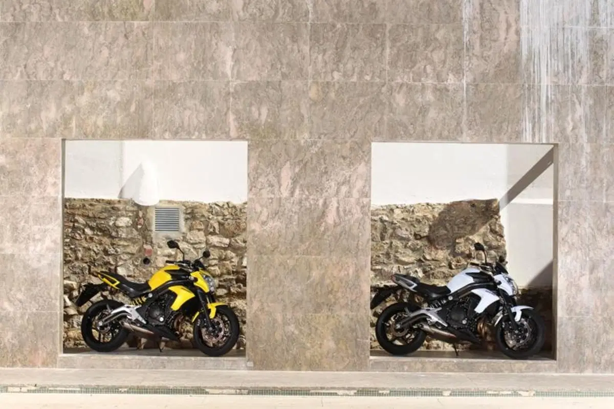 Kawasaki ER-6n   (32)