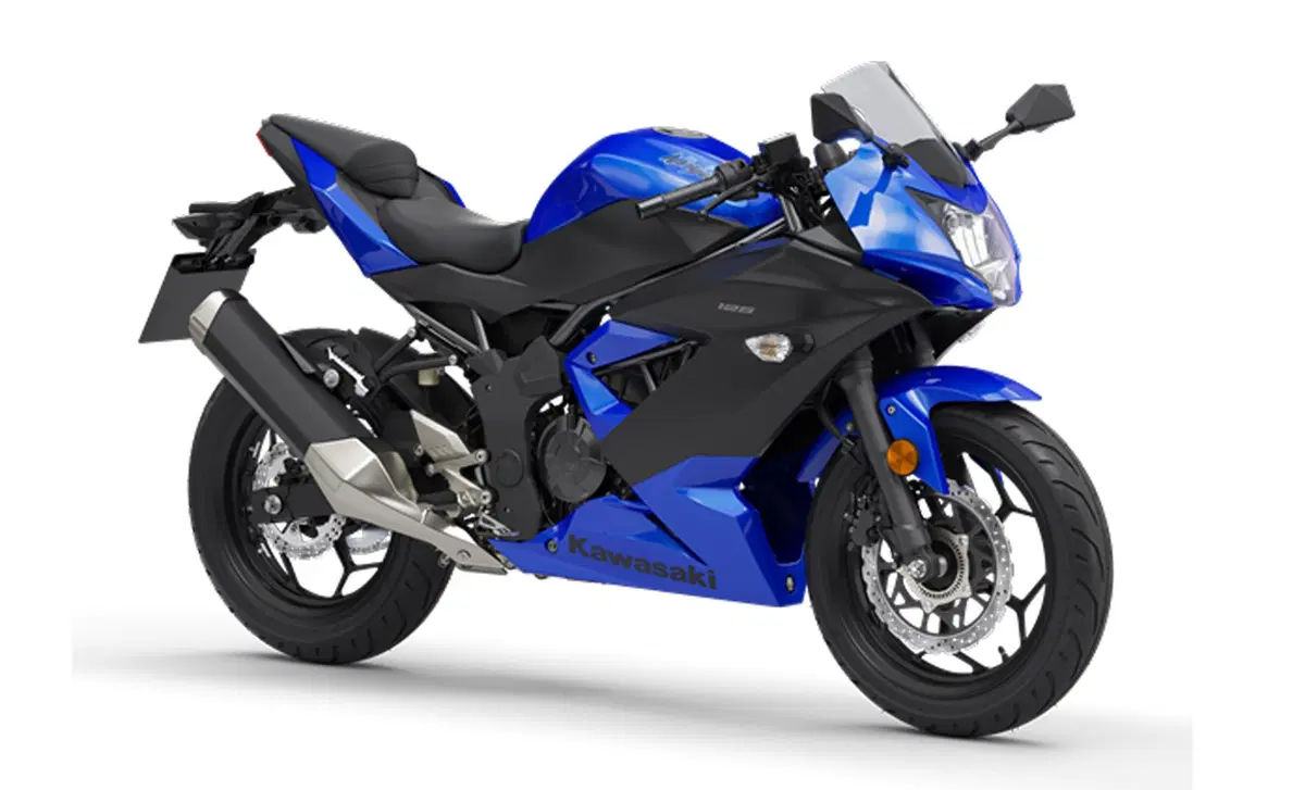 Kawasaki Ninja 125 Ninja 125 (2019 - 20) (4)