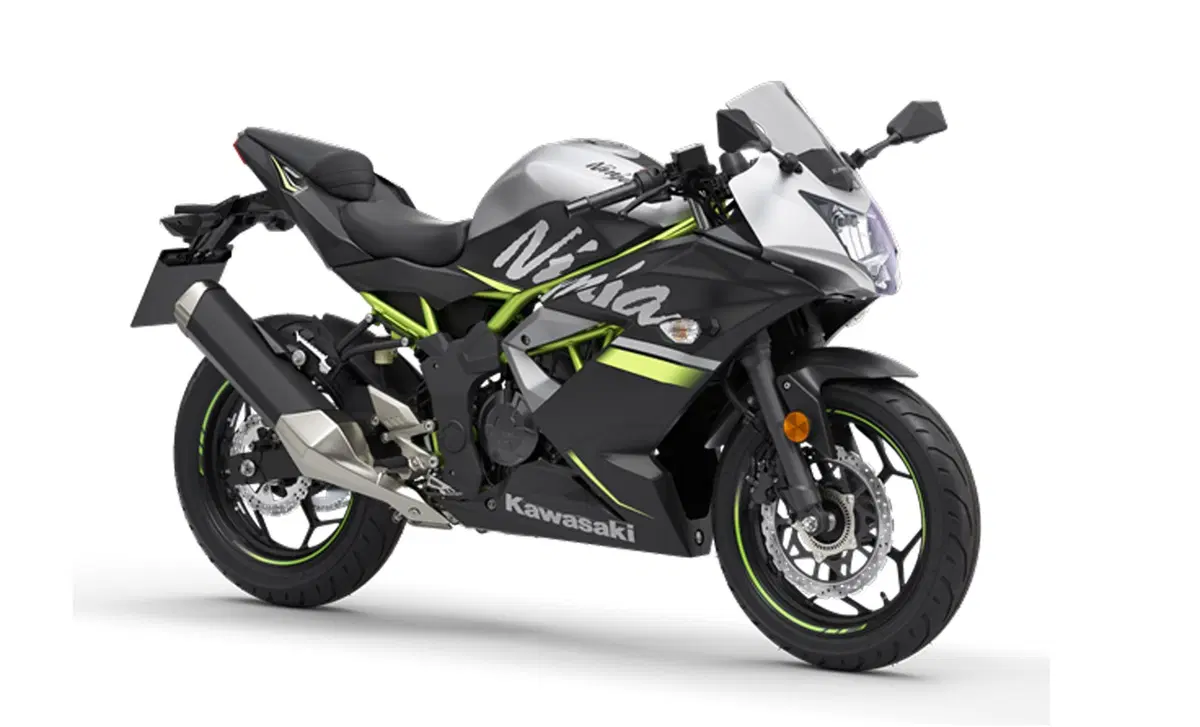 Kawasaki Ninja 125 Ninja 125 (2019 - 20) (5)