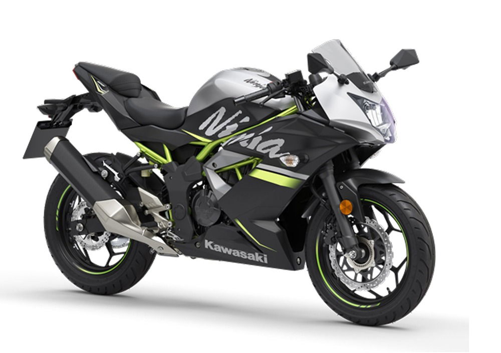 Kawasaki Ninja 125 (2019 - 20) (5)