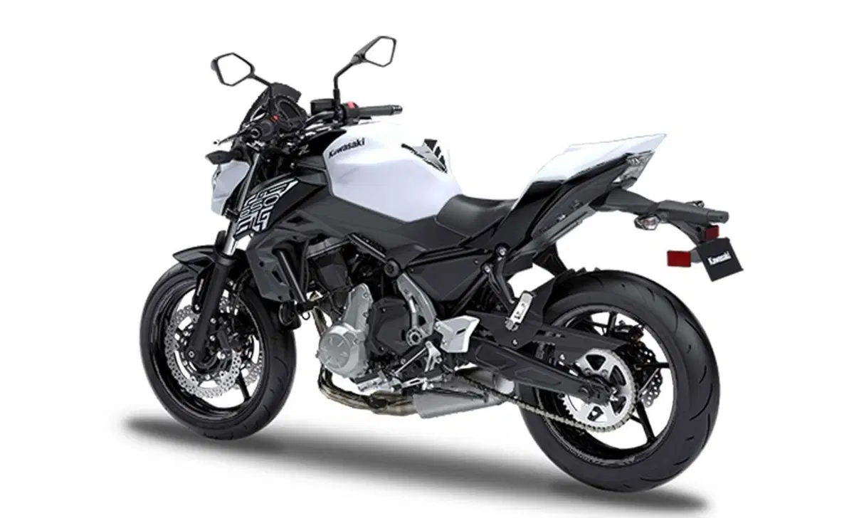 Kawasaki Z 650 Z 650 Performance (2019 - 20) (4)
