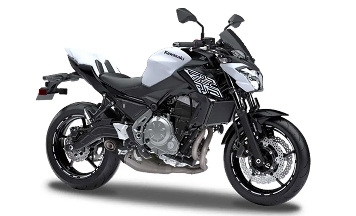 Kawasaki Z 650 Z 650 Performance (2019 - 20) (3)