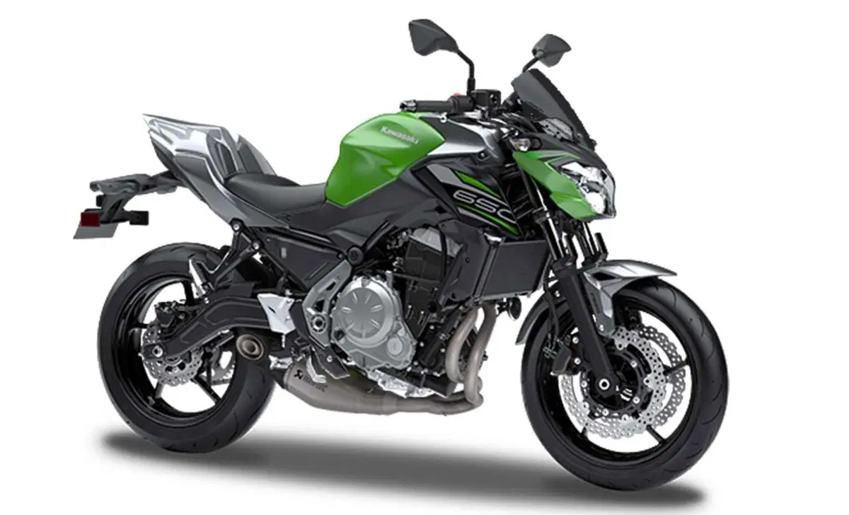 Kawasaki Z 650 Performance (2019 - 20)