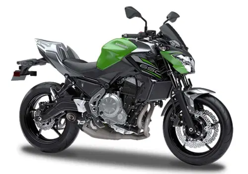 Kawasaki Z 650 Performance (2019 - 20)