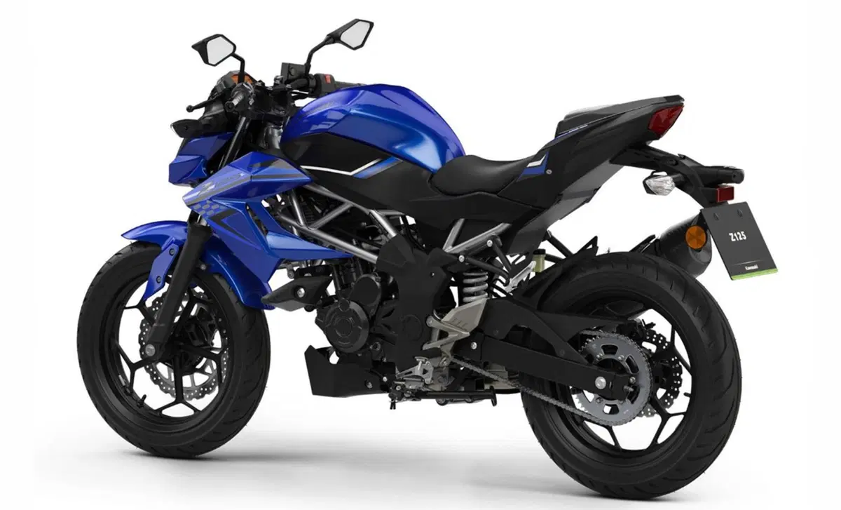 Kawasaki Z 125 Z 125 Performance (2019 - 20) (4)