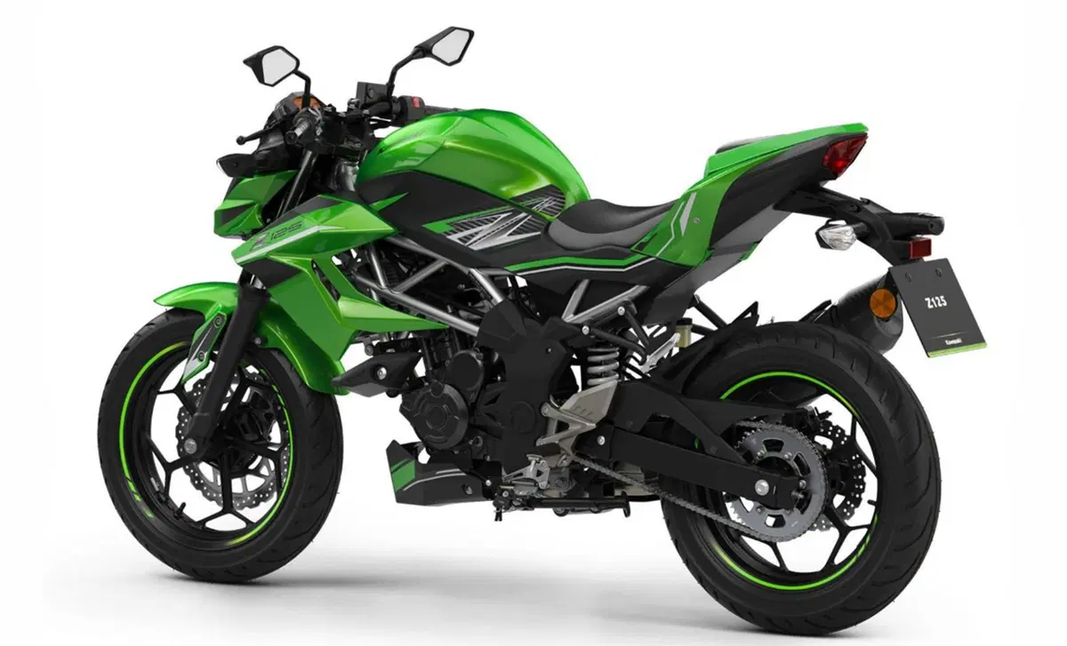 Kawasaki Z 125 Z 125 Performance (2019 - 20) (6)
