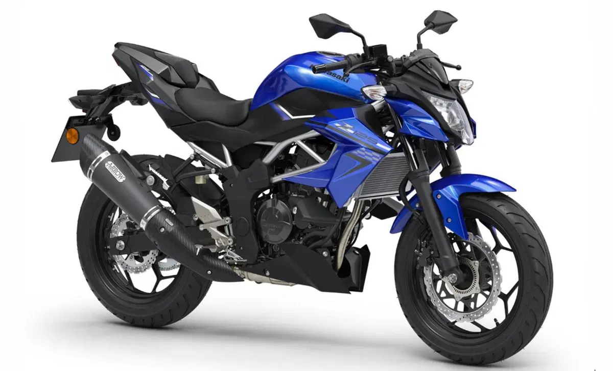 Kawasaki Z 125 Z 125 Performance (2019 - 20) (3)