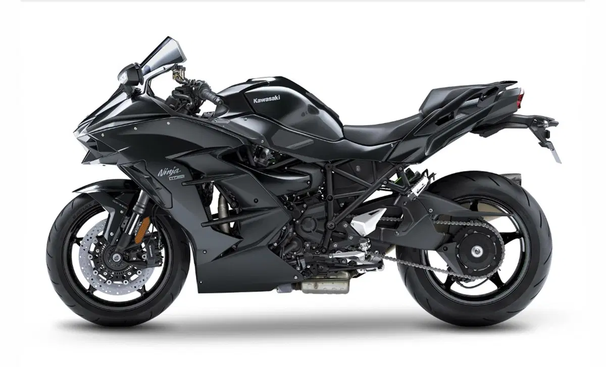Kawasaki Ninja H2 SX Ninja H2 SX Performance (2019 - 20) (6)