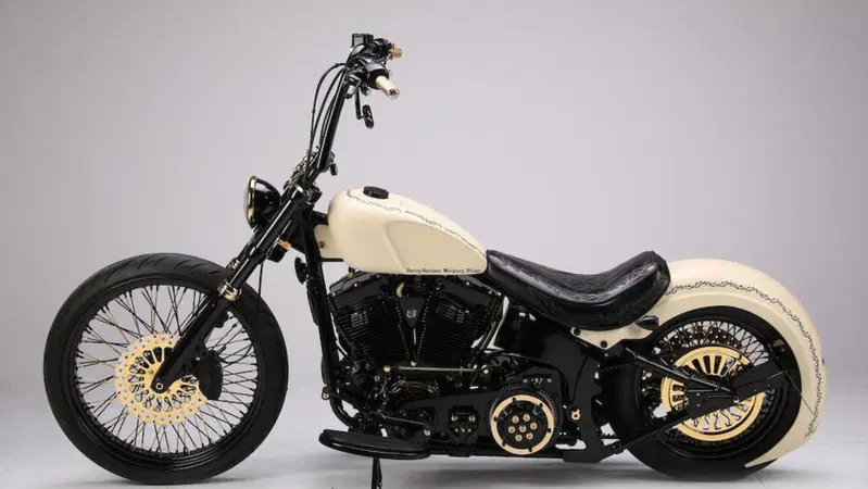 Harley Davidson "White Unique": la moto donata al Papa all'asta per beneficenza