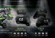 Kawasaki: cinque novità fra EICMA e Tokyo