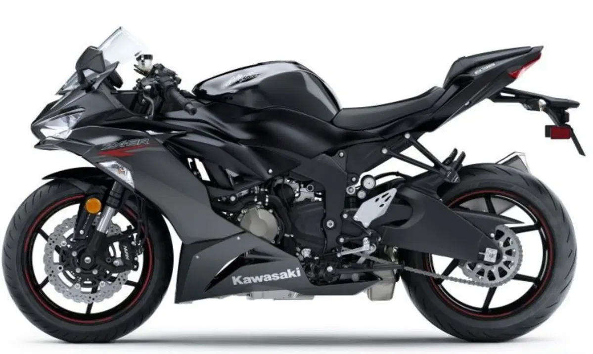 Kawasaki Z1000SX 2020 a EICMA. La conferma arriva dalla California (5)